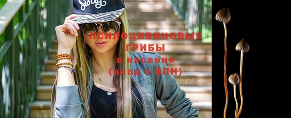 spice Алзамай