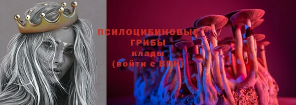 spice Алзамай