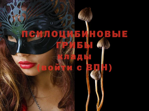 spice Алзамай