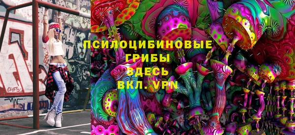 стаф Алексеевка