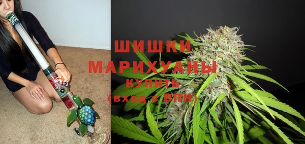 spice Алзамай