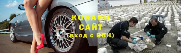 spice Алзамай